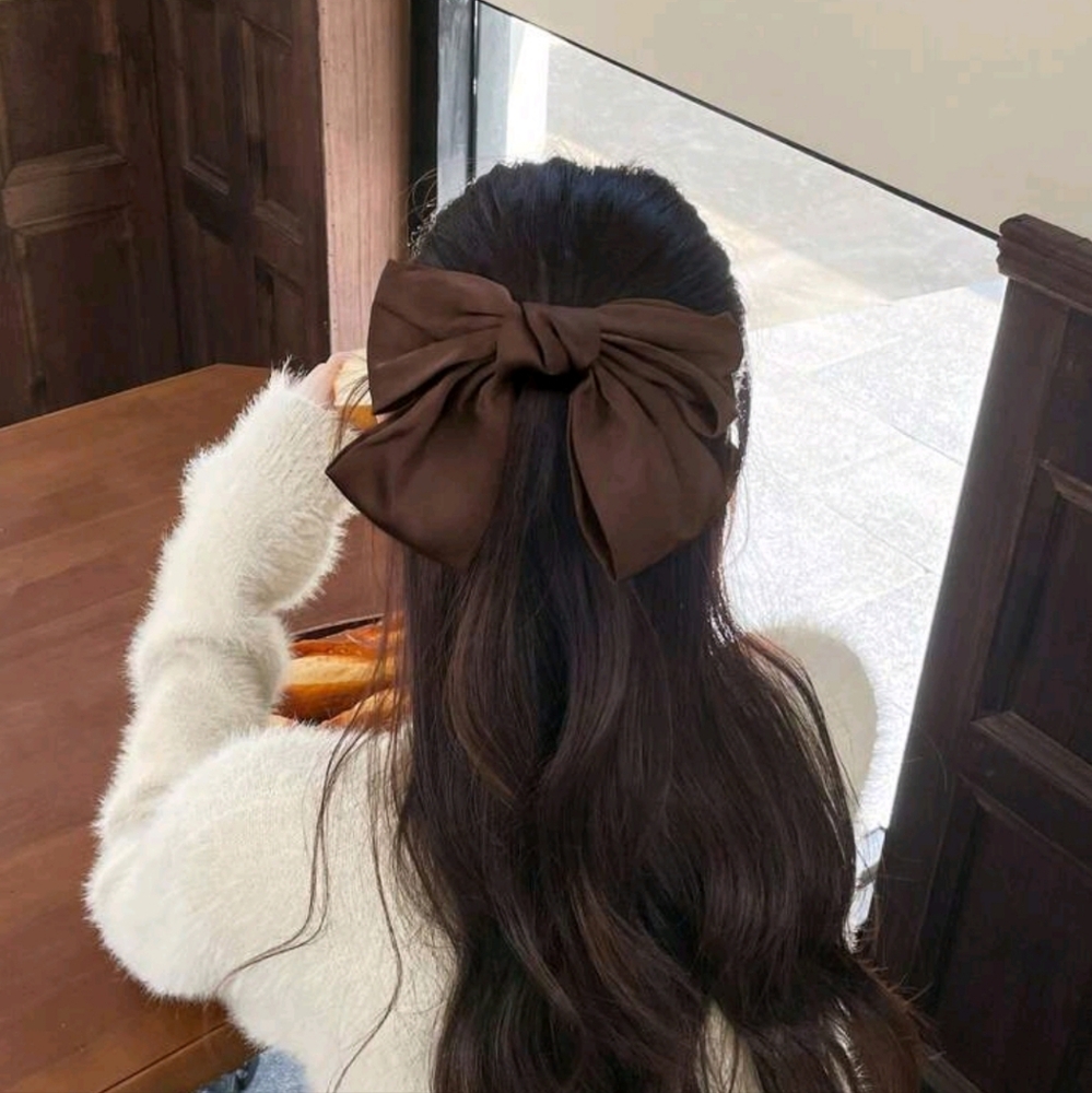 NWT, Elegant Brown Hair Bow Hair Clip